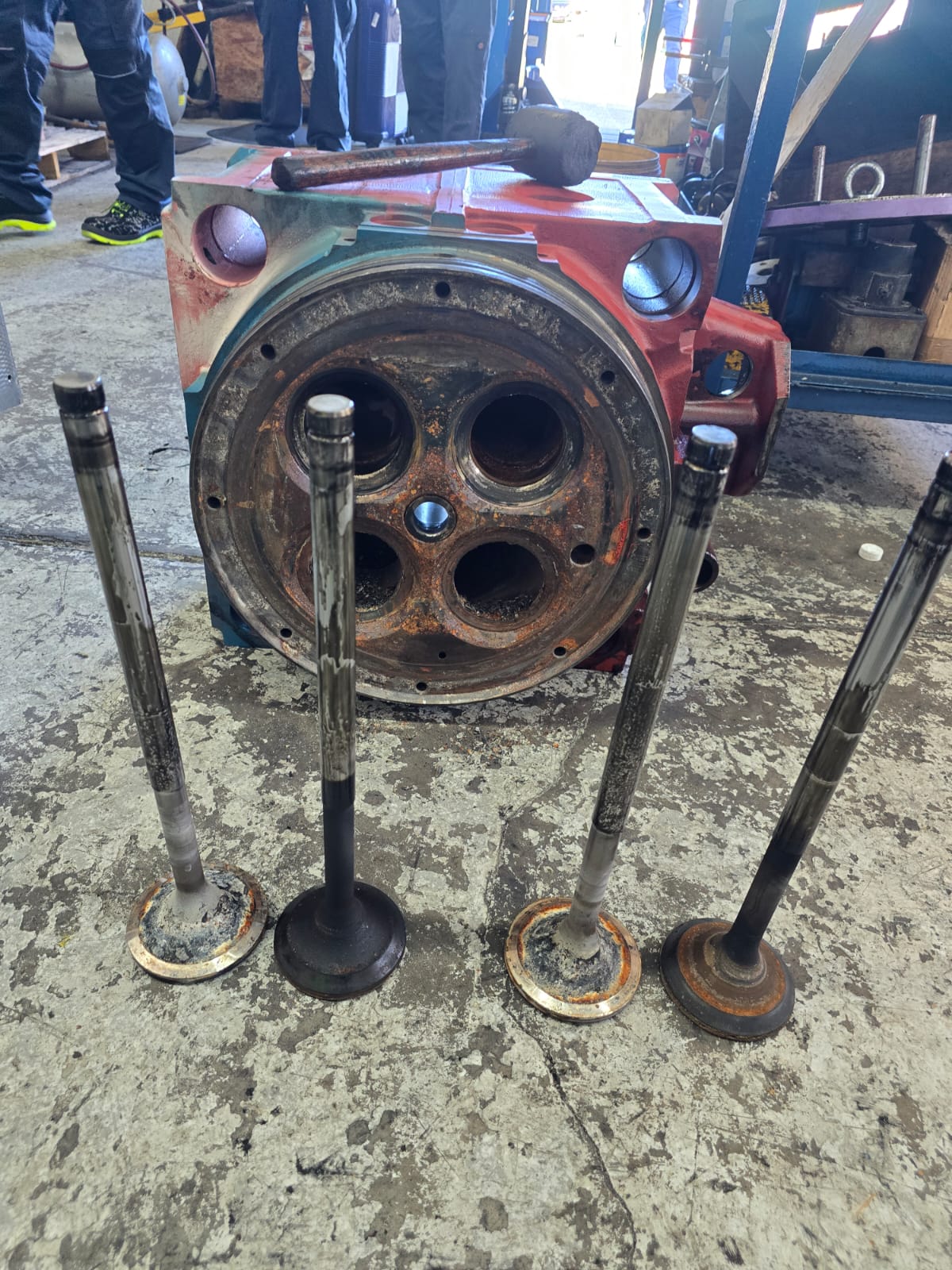 WhatsApp Image 2025-02-14 at 2.16.38 PM (1)