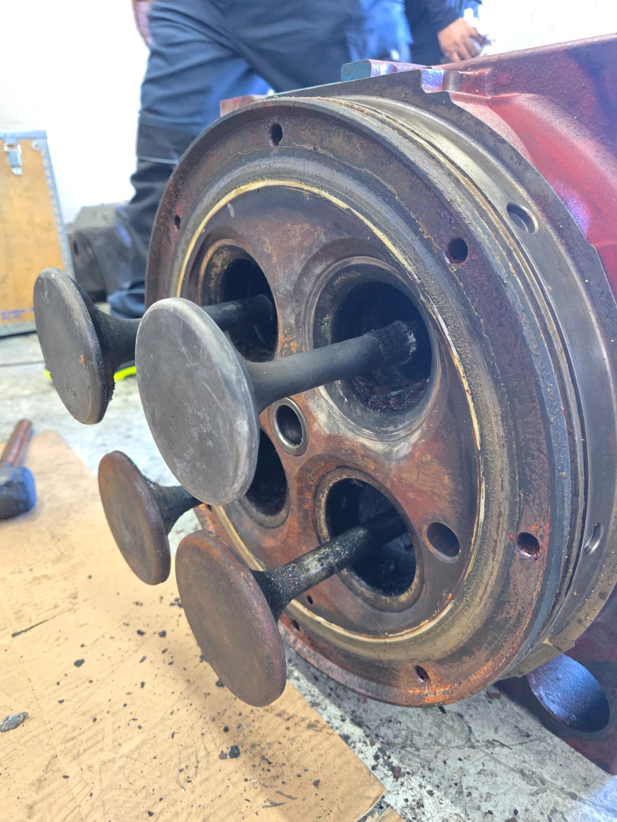 WhatsApp Image 2025-02-14 at 2.16.39 PM