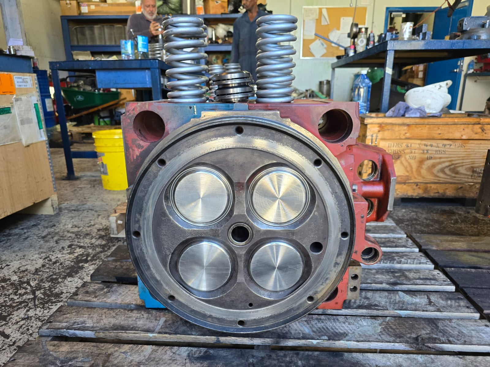 WhatsApp Image 2025-02-14 at 2.16.47 PM (1)